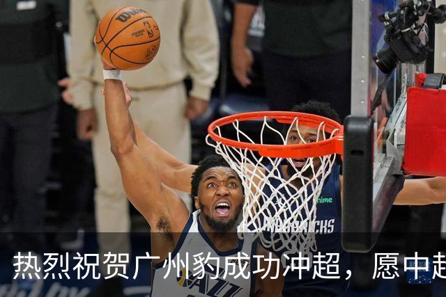 热烈祝贺广州豹成功冲超，愿中超之旅再创辉煌